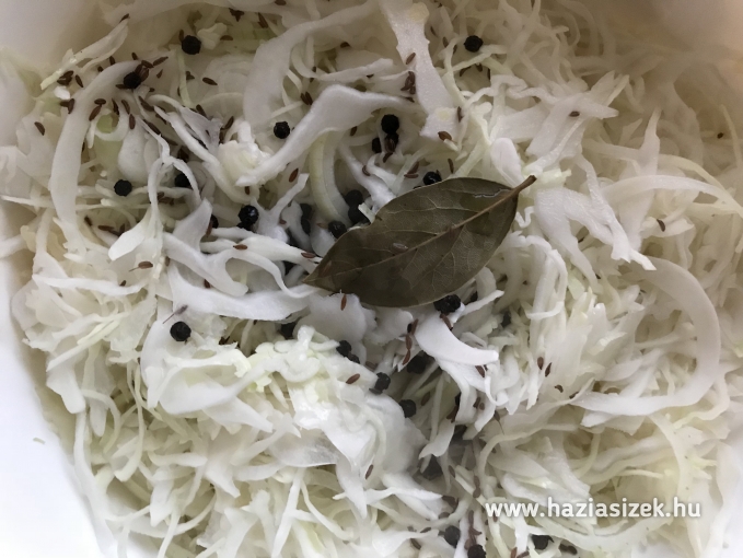 Káposzta saláta
